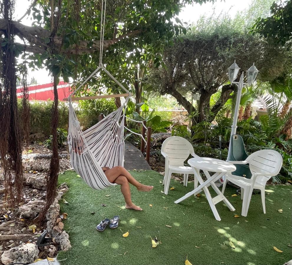 Suite Privada Frente A La Piscina Para 2 Personas Con Sofa Cama Para 2 Mas 4P No Es Casa Completa San Vicente Raspeig Exteriör bild